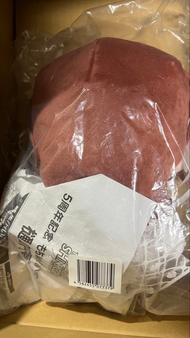 新品未開封 5周年記念 もちWhat！ぬいぐるみ 樋口円香