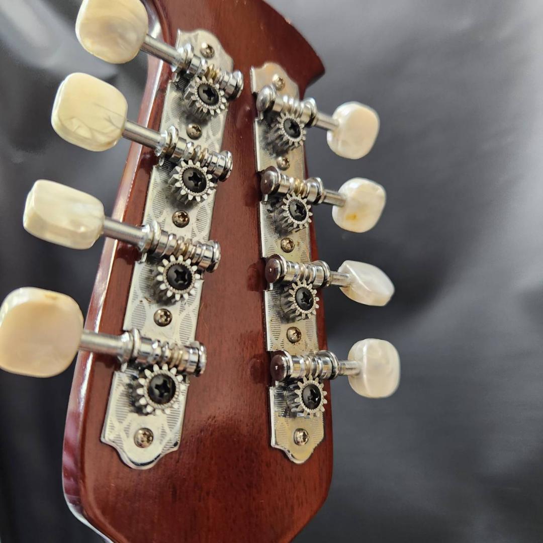 ★鈴木バイオリン　マンドリン　M-218　ケース付き