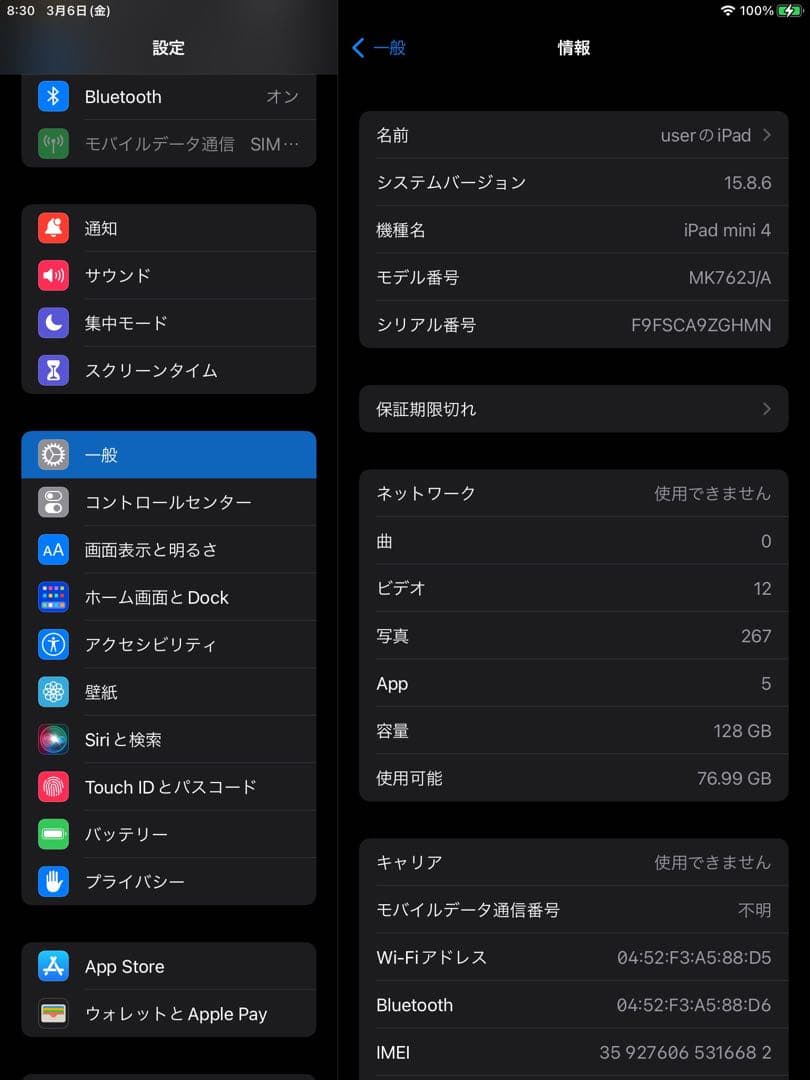 iPad mini 4 セルラーモデル128GBスペースグレイバッテリー100%