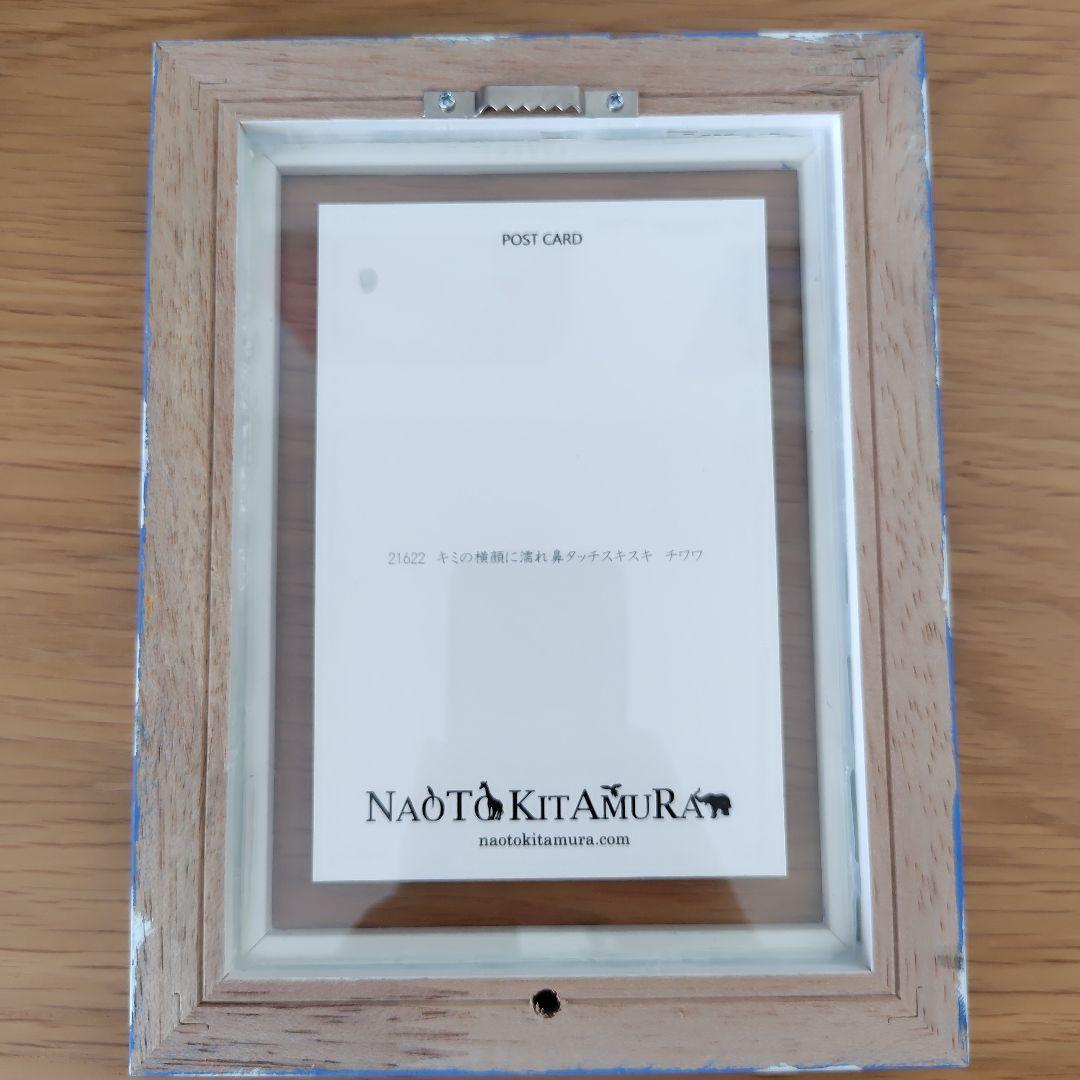 ポストカード　北村直登　チワワ　複製　ペイントフレーム