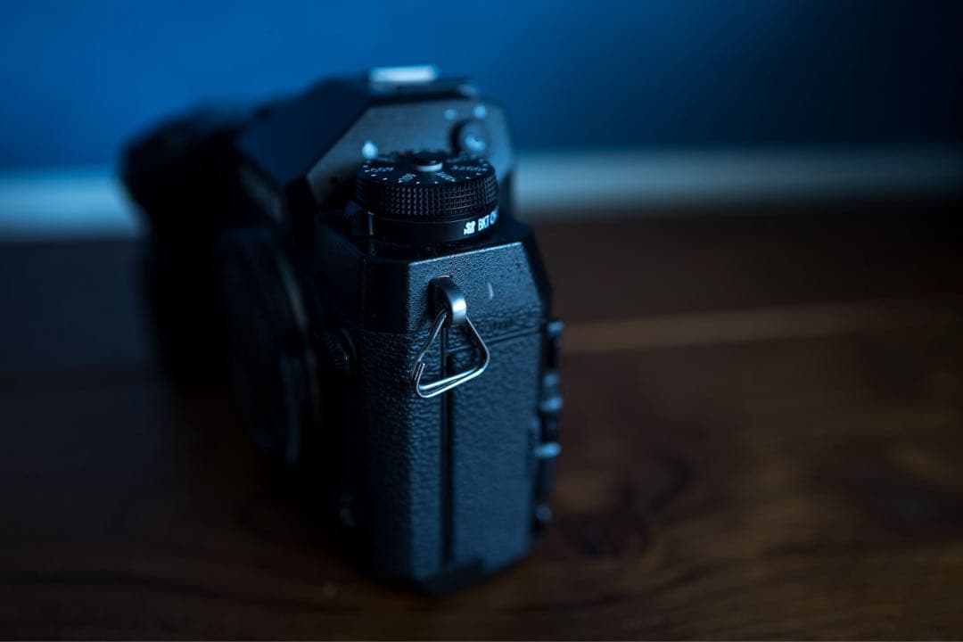 ハ*ム様 フジフィルムX−H1 / Xシリーズ初代日本製フラッグシップショット2