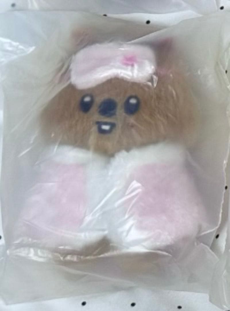 straykids ハン 2026ファンミ ペンミ 10cm SKZOO