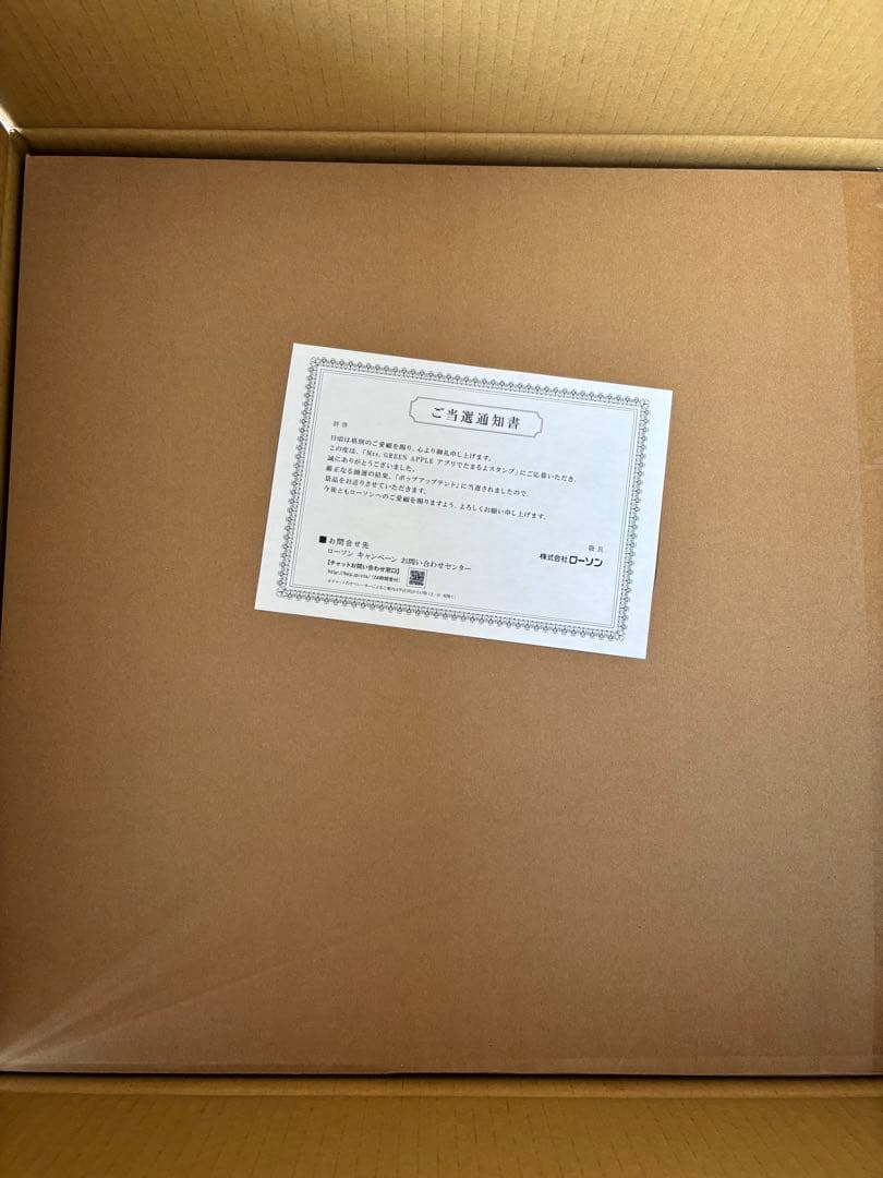 Mrs. GREEN APPLE × LAWSON 円形クッション 当選品激レア