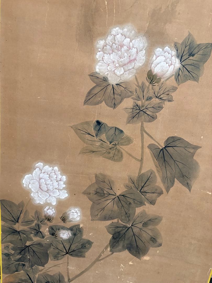 掛軸 花鳥画 牡丹 水鳥 呉昌 江戸後期 明治 日本画 床の間 中幅