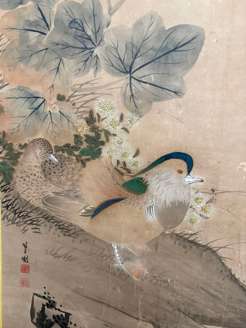 掛軸 花鳥画 牡丹 水鳥 呉昌 江戸後期 明治 日本画 床の間 中幅