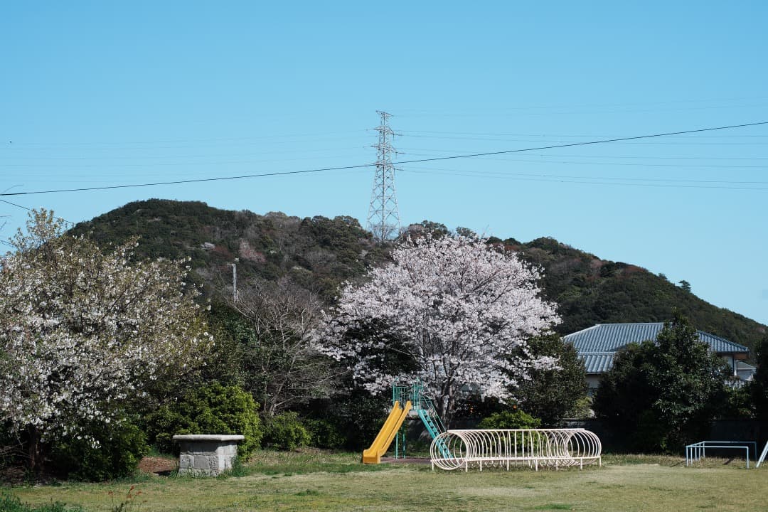【極美品】Carl Zeiss Planar 50mm F1.4 AEJ 881