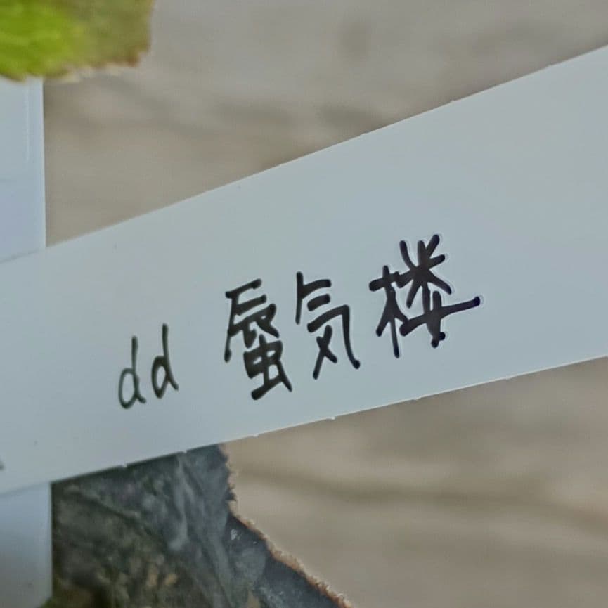 KinaRi　本人以外　イイネ閲覧✕