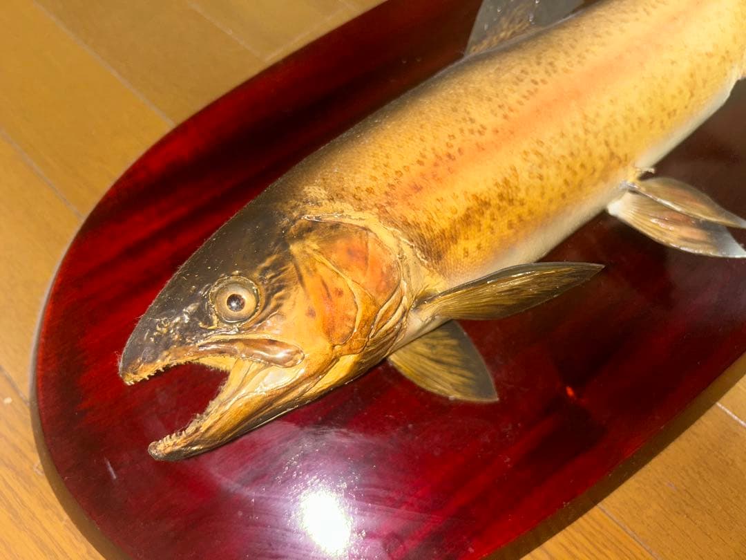 リアルなトラウトフィギュア