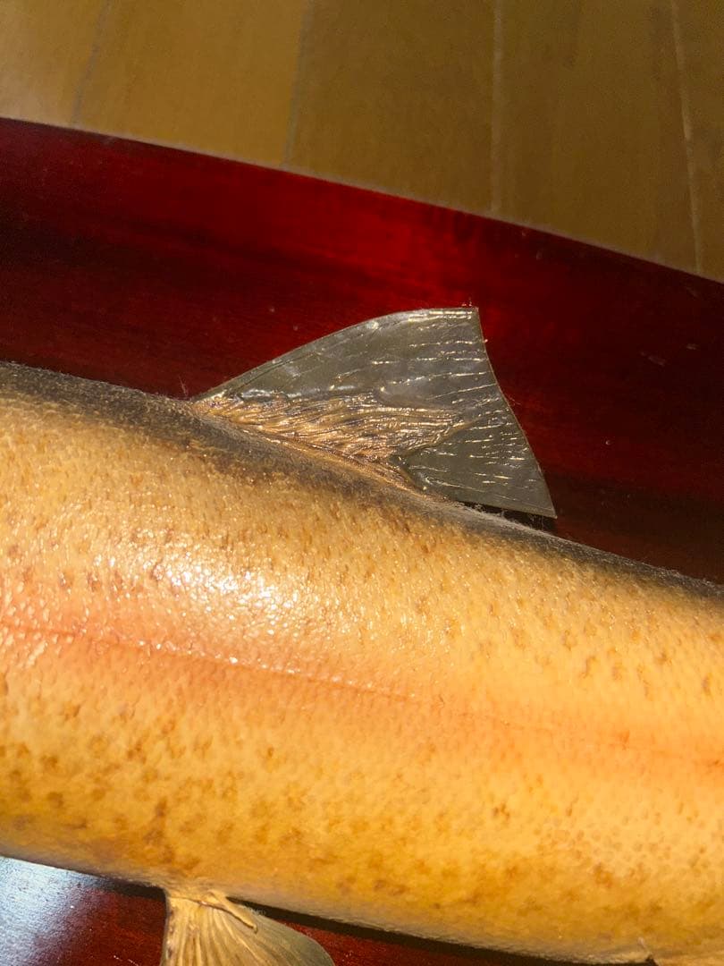 リアルなトラウトフィギュア