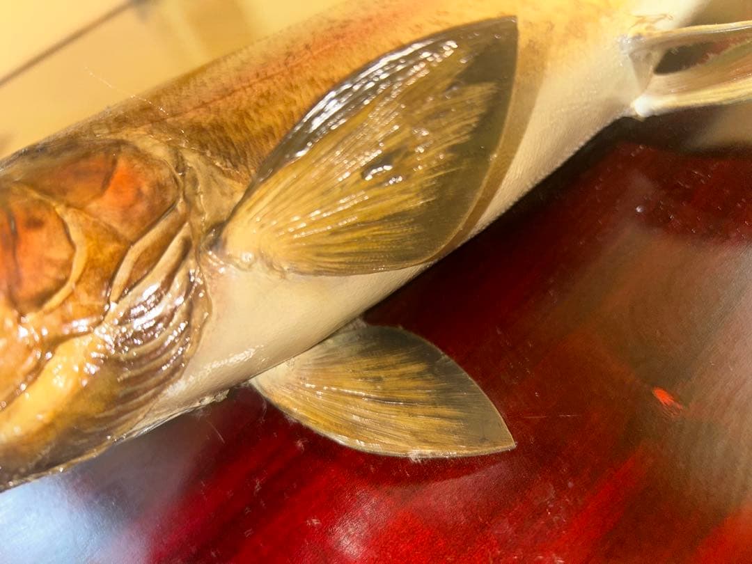 リアルなトラウトフィギュア