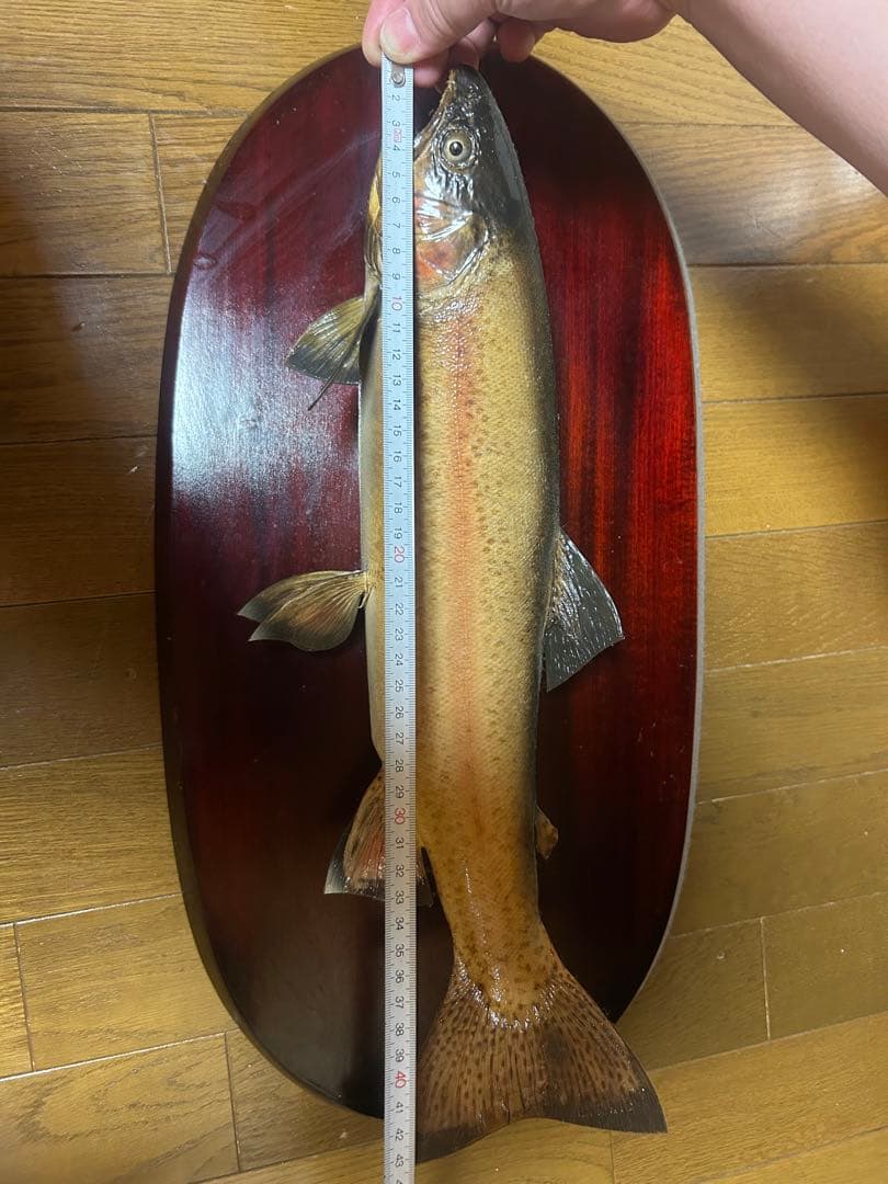 リアルなトラウトフィギュア