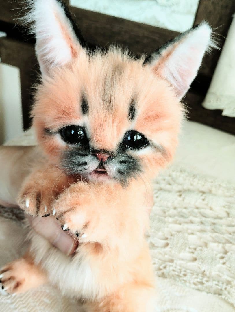 ネコ科赤ちゃんシリーズ❤カラカルベビー♡お口開閉♡アートドール♡ぬいぐるみ♡