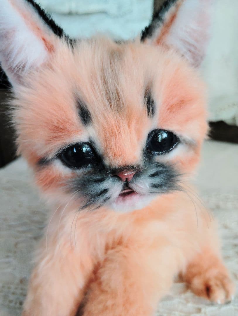 ネコ科赤ちゃんシリーズ❤カラカルベビー♡お口開閉♡アートドール♡ぬいぐるみ♡