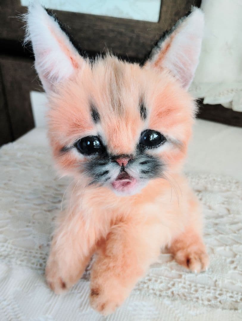 ネコ科赤ちゃんシリーズ❤カラカルベビー♡お口開閉♡アートドール♡ぬいぐるみ♡