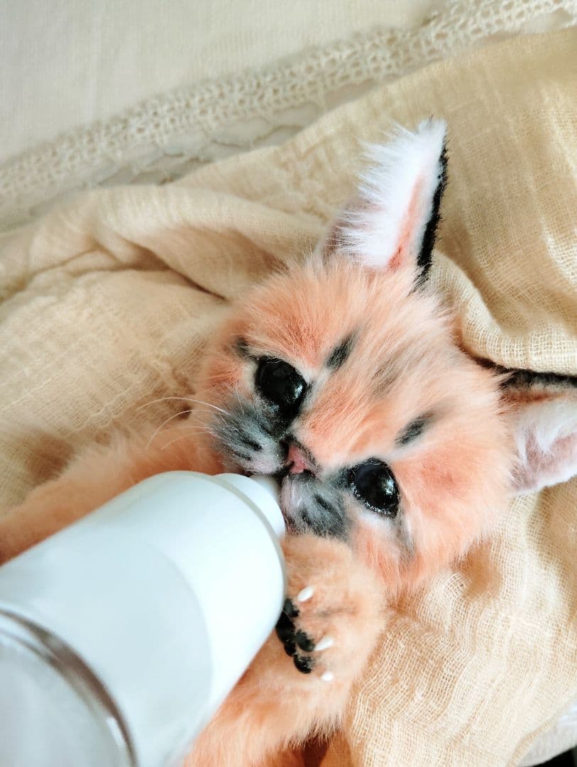 ネコ科赤ちゃんシリーズ❤カラカルベビー♡お口開閉♡アートドール♡ぬいぐるみ♡