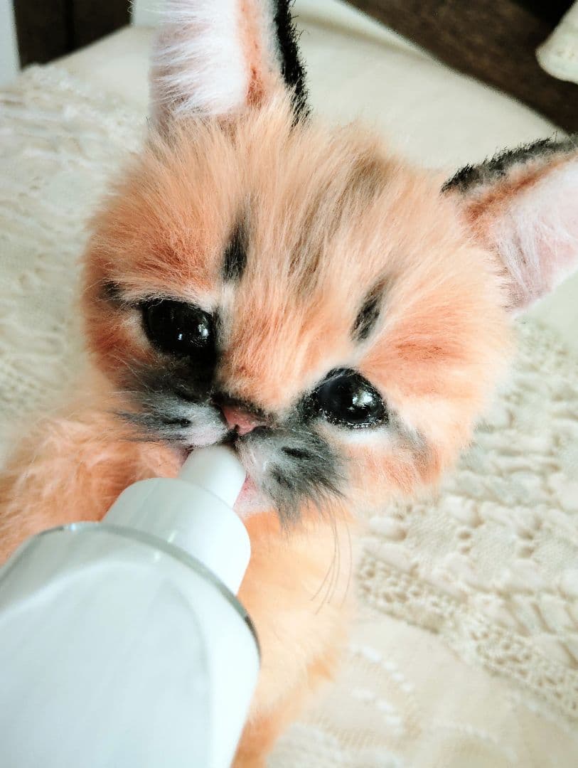 ネコ科赤ちゃんシリーズ❤カラカルベビー♡お口開閉♡アートドール♡ぬいぐるみ♡