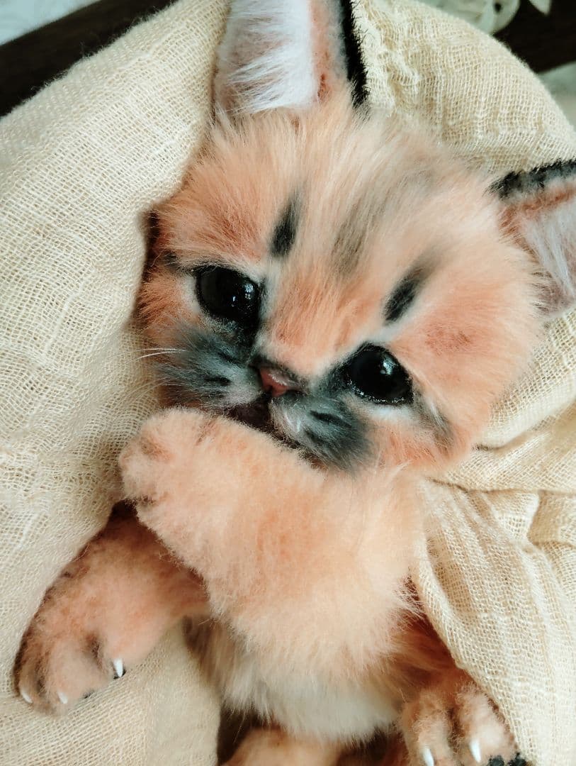 ネコ科赤ちゃんシリーズ❤カラカルベビー♡お口開閉♡アートドール♡ぬいぐるみ♡