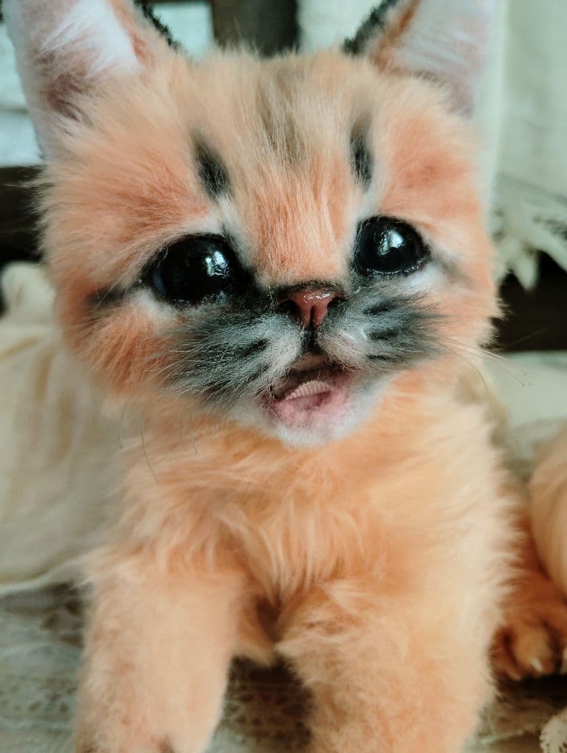 ネコ科赤ちゃんシリーズ❤カラカルベビー♡お口開閉♡アートドール♡ぬいぐるみ♡