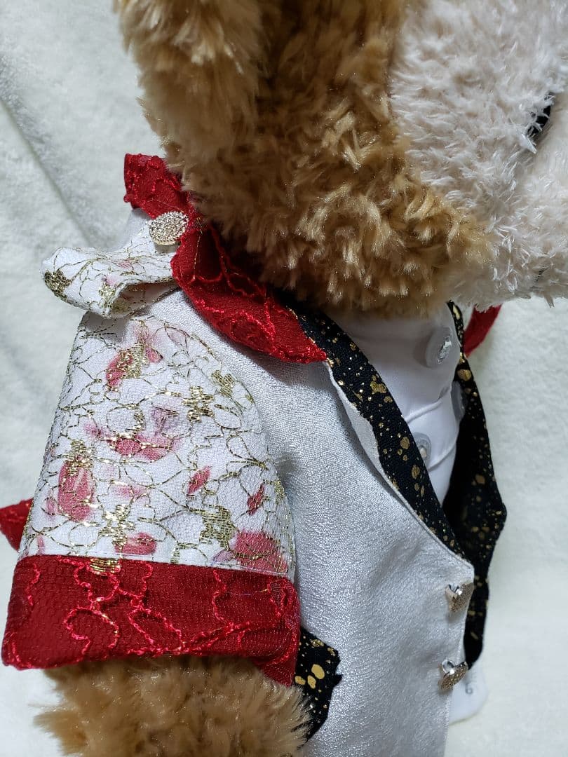 This is 嵐 ワイルド アット ハート Sサイズ衣装