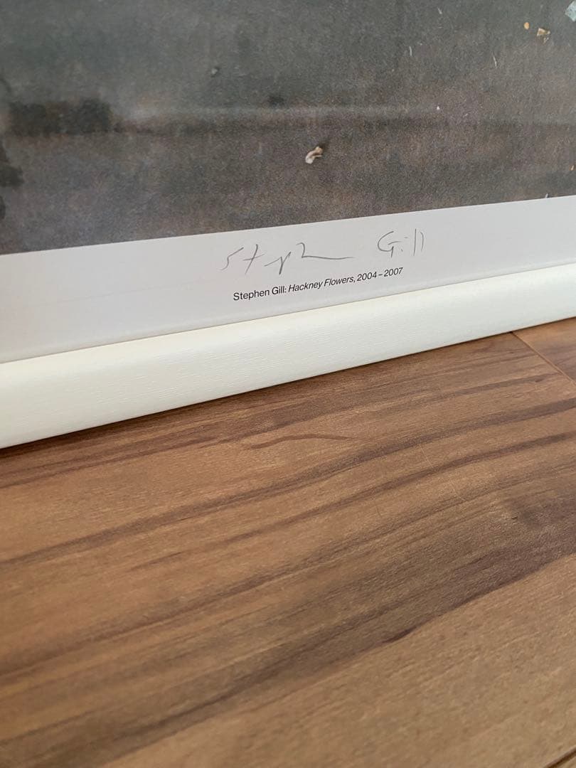 絵画 Stephen Gill Hackney Flowers