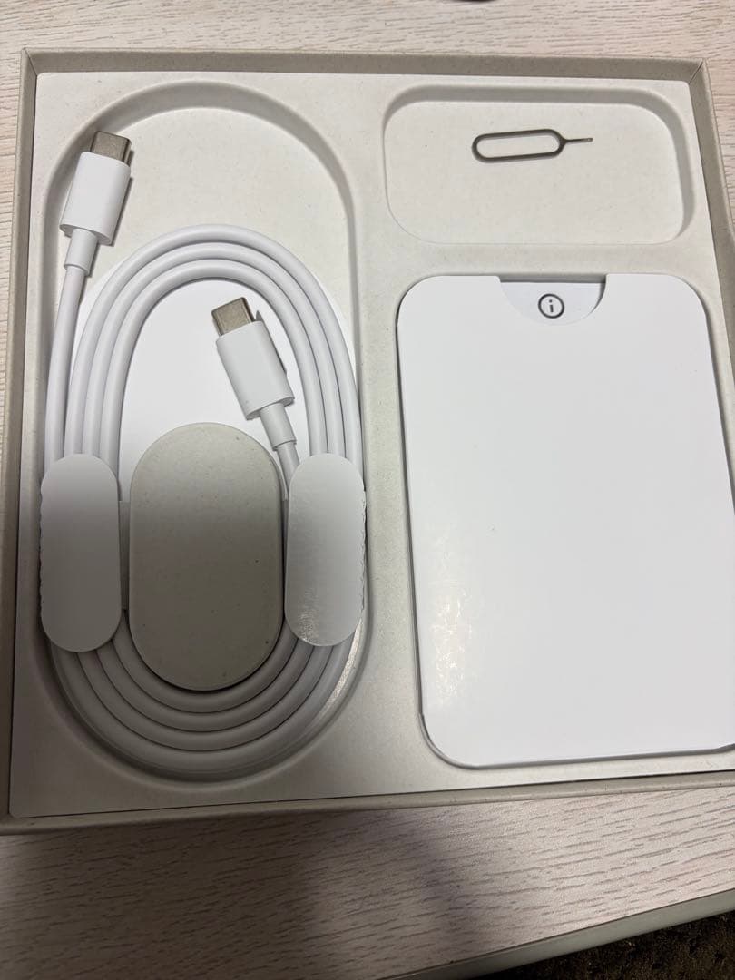 Google Pixel 9 Pro Fold 箱あり