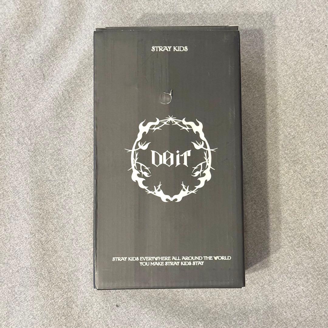 StrayKids DO IT 中国POPUP タンブラー リービット リノ
