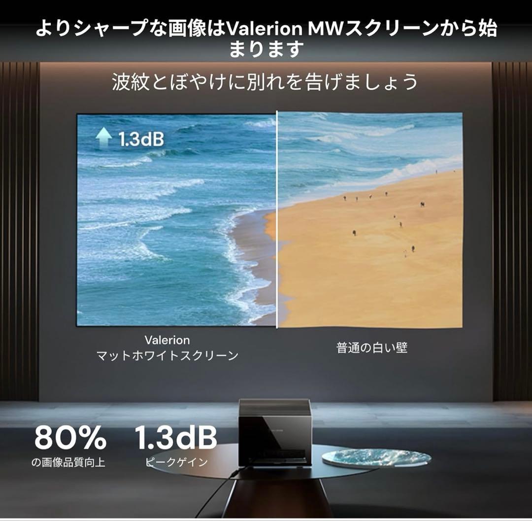 Valerion 100インチスクリーン