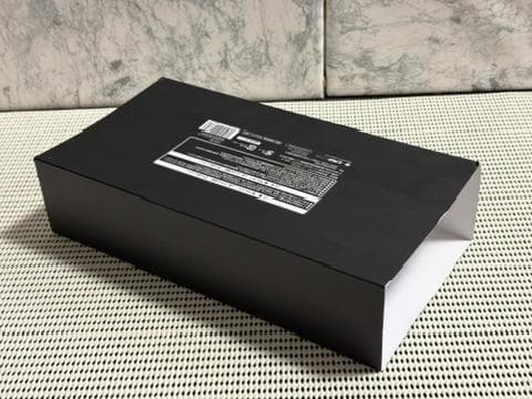 バイオハザード ヴィレッジ　1/6スケールミニチュア