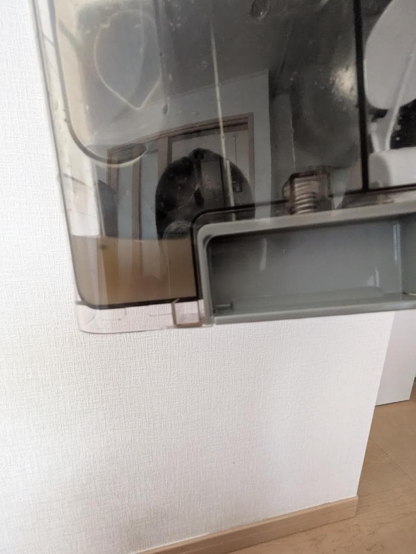 A【2024年モデル】アイリスオーヤマ リンサークリーナー 自動ポンプ式 &軽量