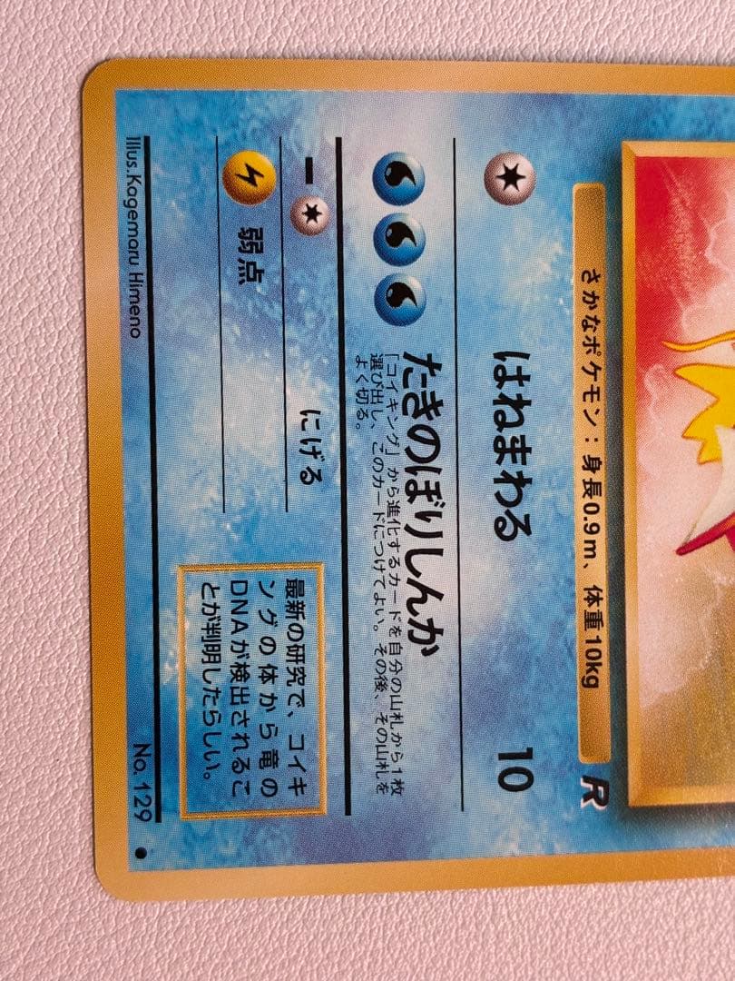 現物2枚 コイキング　1弾 R団　ポケモンカード　旧裏面　未使用　美品