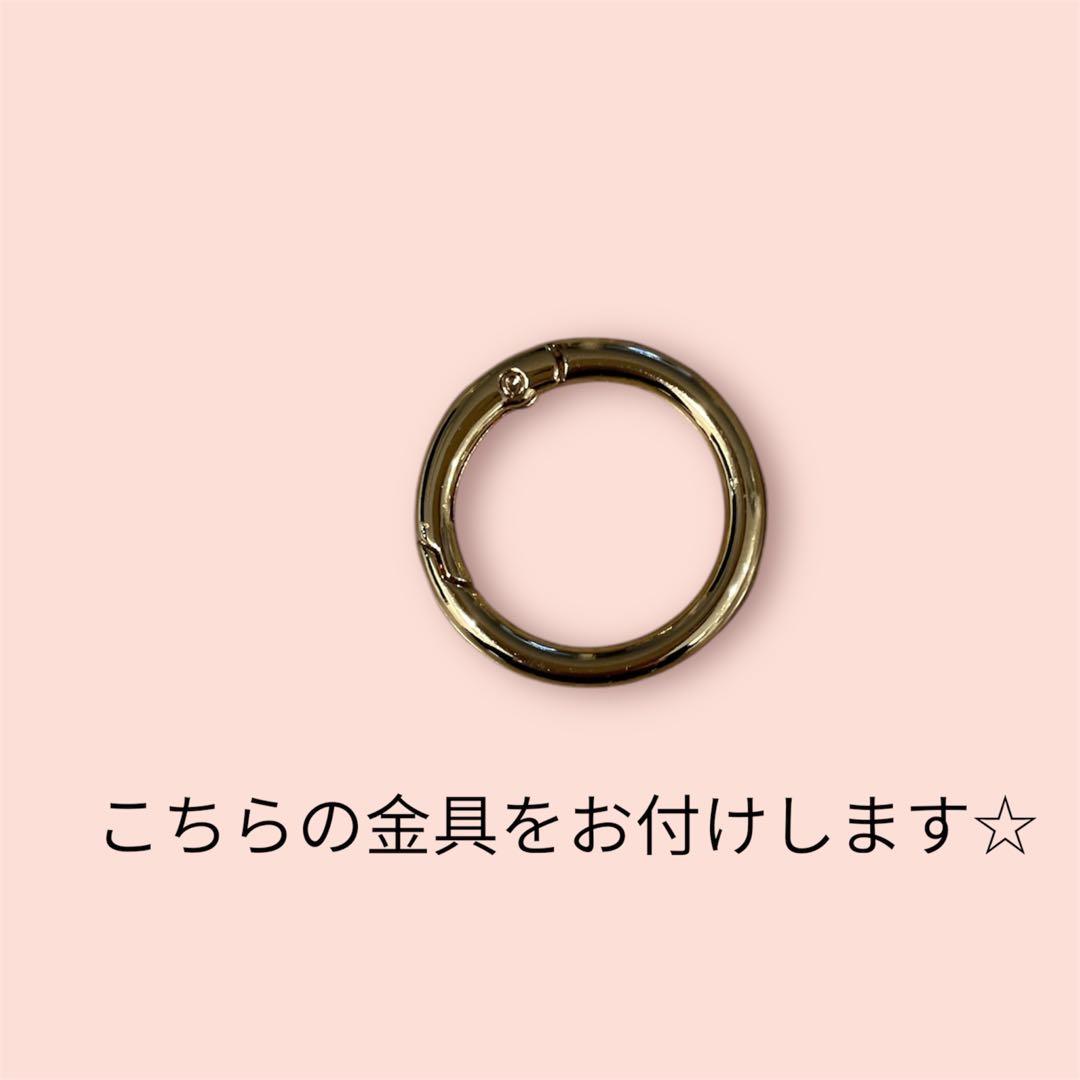 パクパクモンスター　AirPodscase おだんごちゃん