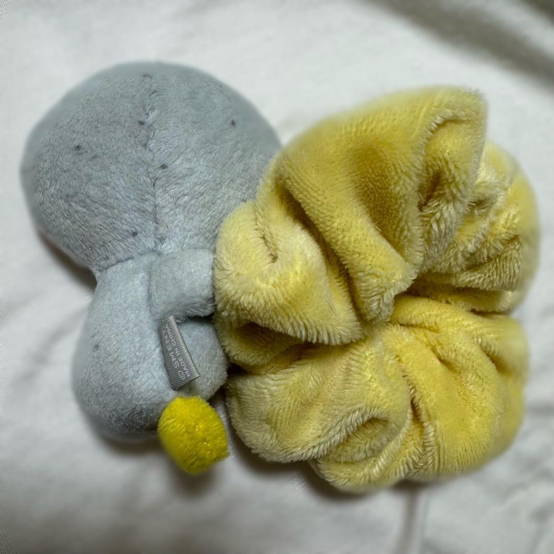 RIIZE ウンソク ソンヨンドリ シュシュ