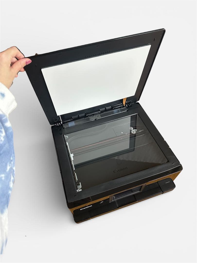 Canon TS8730 インクジェットプリンター　純正インクタンク付き