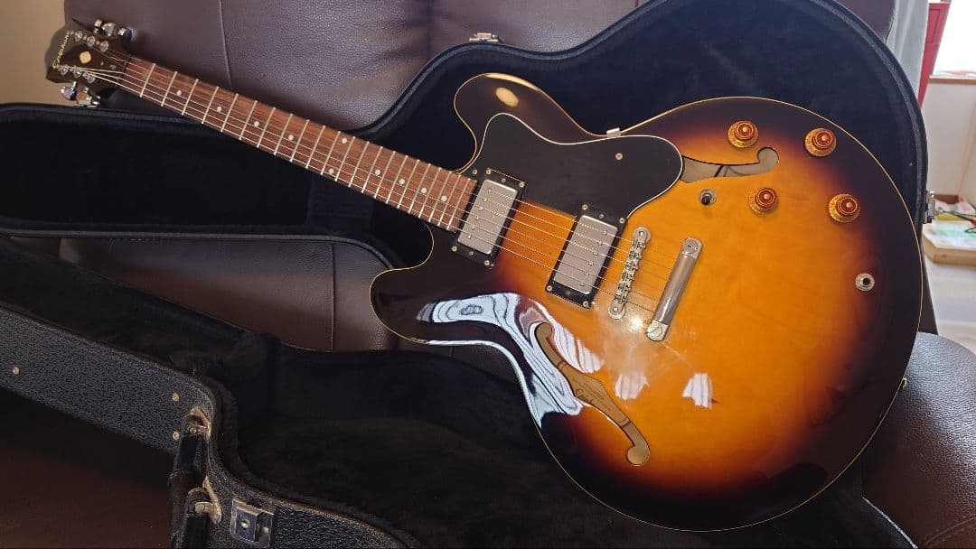 ギター Epiphone Dot