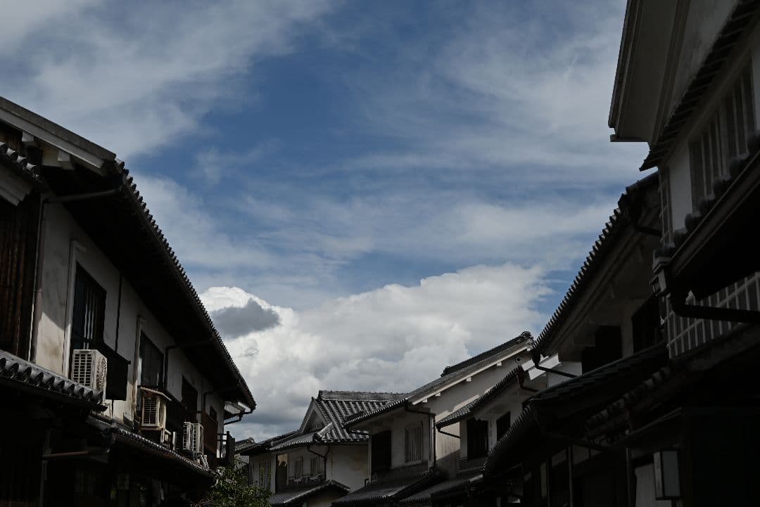 TAMRON 50-400mm F/4.5-6.3 /ニコンZマウント