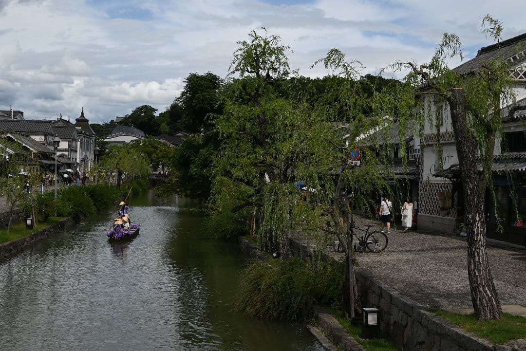 TAMRON 50-400mm F/4.5-6.3 /ニコンZマウント