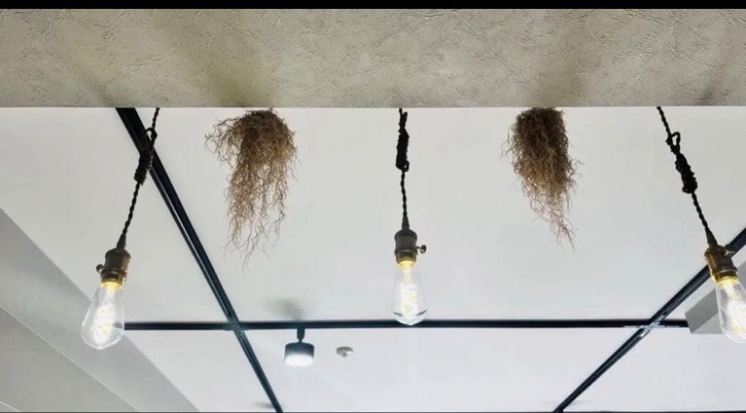 \"中古品\"エジソンバルブLEDスマート E26ロングクリア ７個