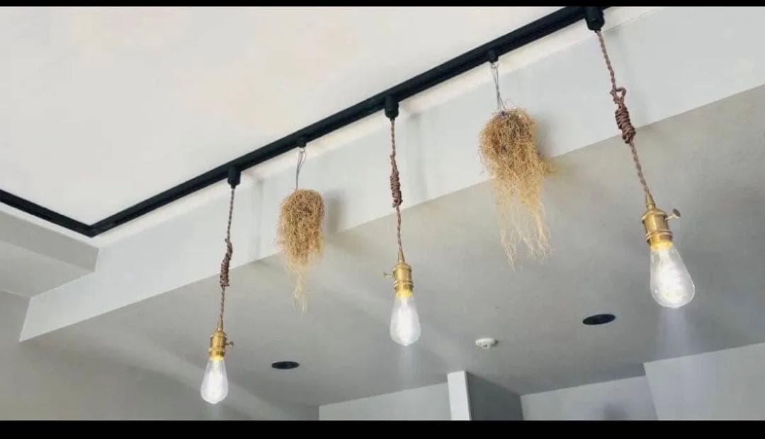 \"中古品\"エジソンバルブLEDスマート E26ロングクリア ７個