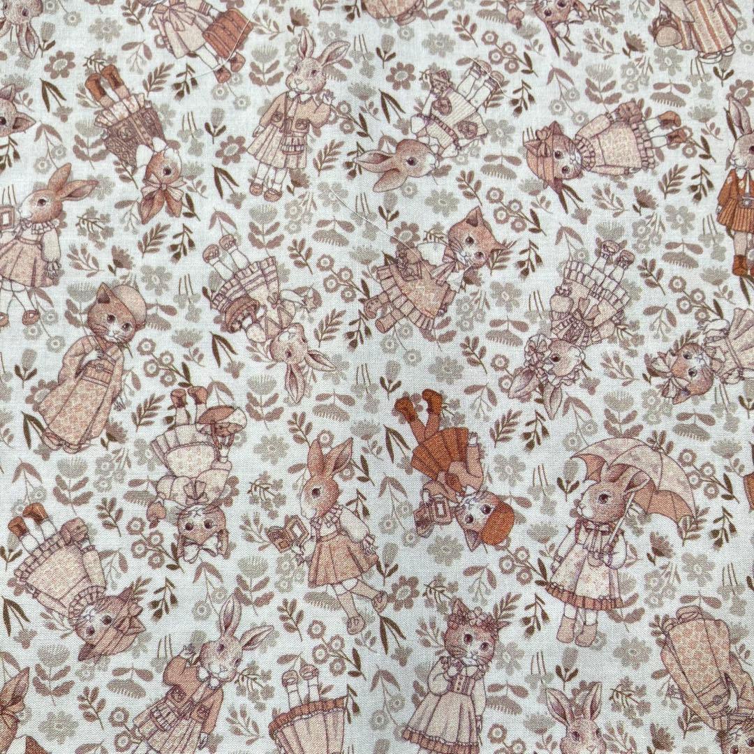 よろしくお願いします( ¨̮ )