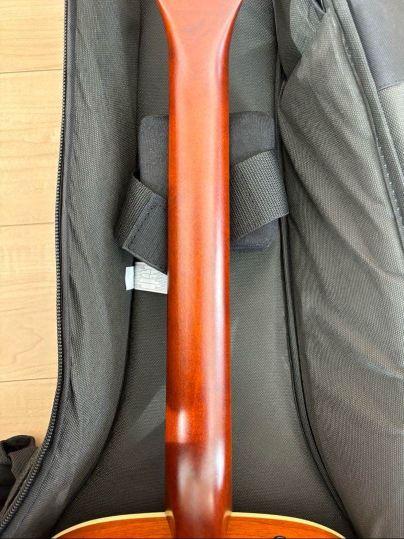 【定価¥154,000】Legacy HavnaBrownQ-Discrete