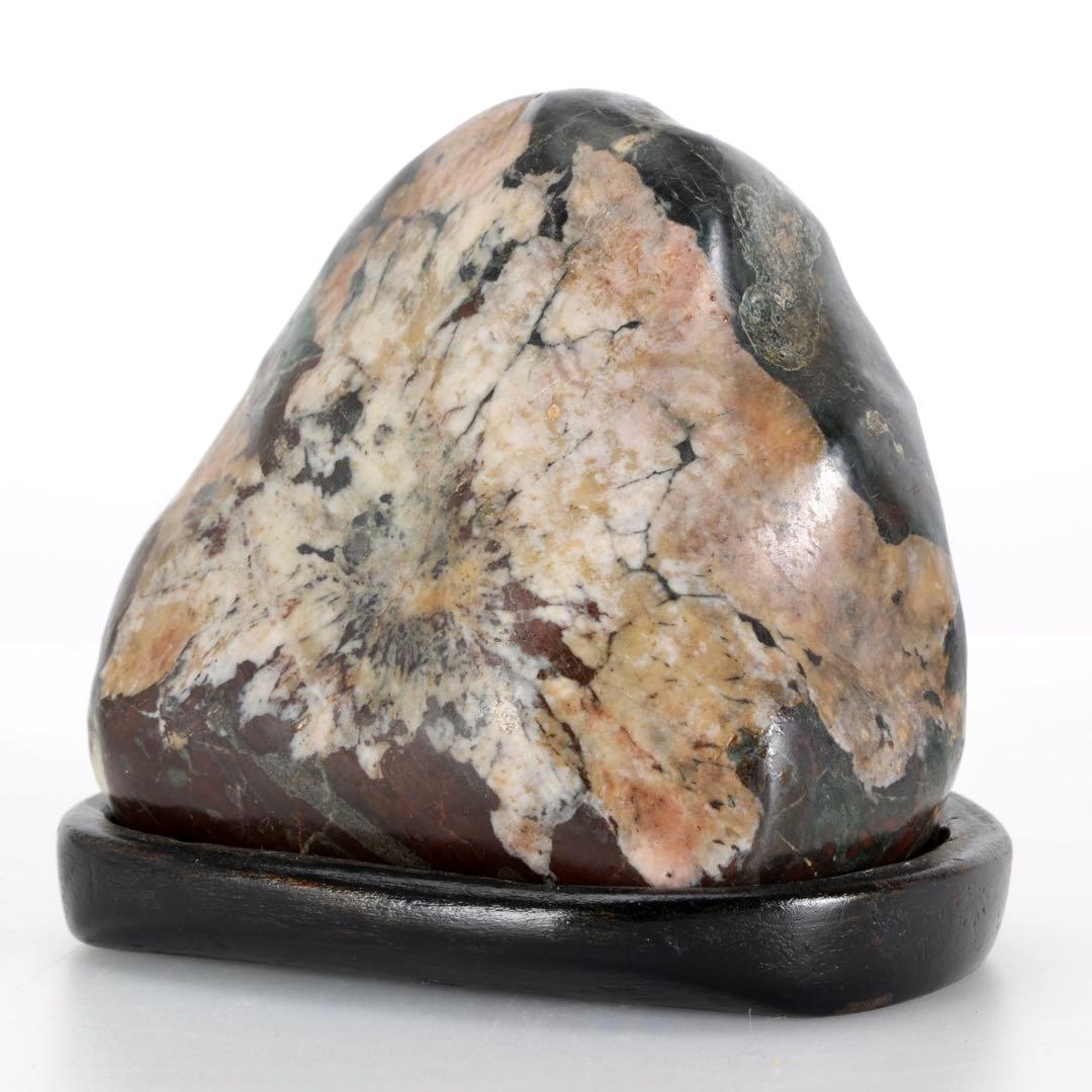 菊花石 菊紋石 紋石 台座付 635g 鑑賞石 原石 自然石 美石 小品盆栽