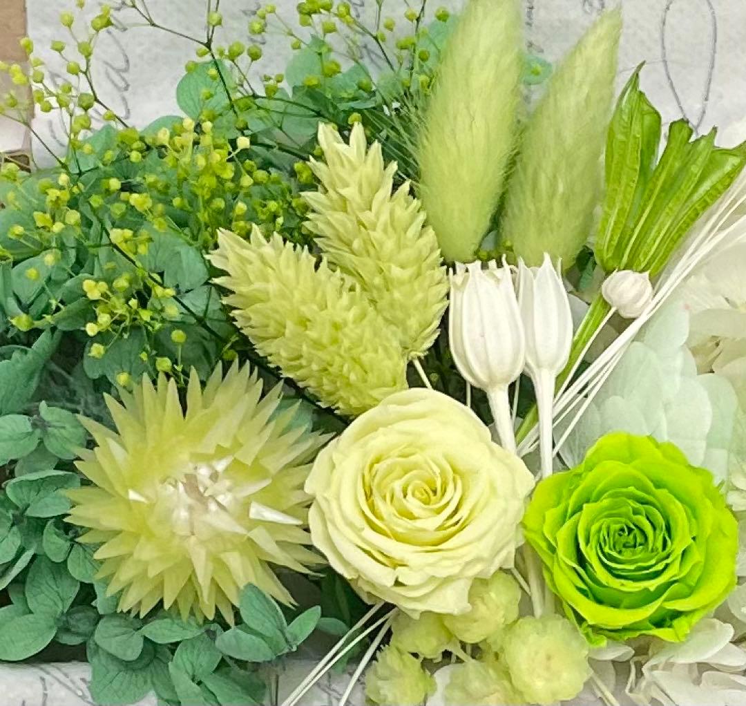 ♡ラブ♡Moana(モアナ)