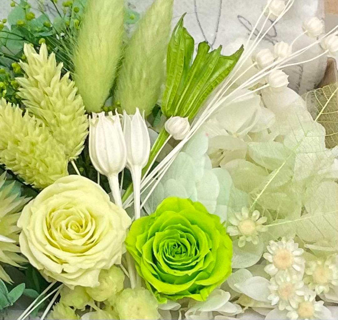 ♡ラブ♡Moana(モアナ)