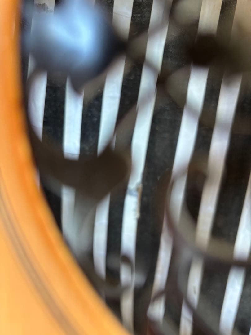 Egyptian Professional Oud／エジプトウード