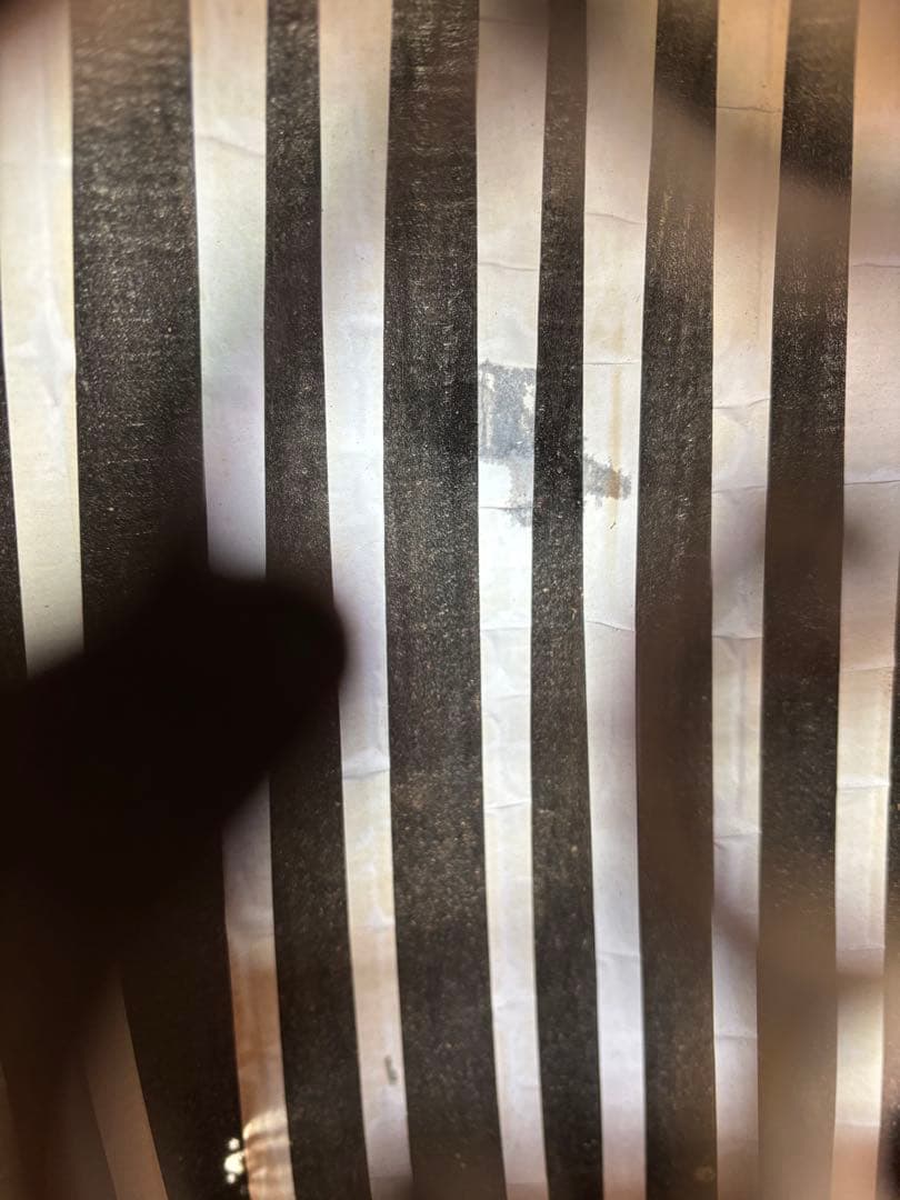 Egyptian Professional Oud／エジプトウード