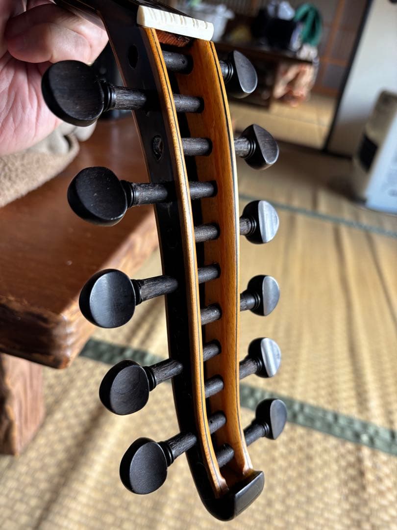 Egyptian Professional Oud／エジプトウード