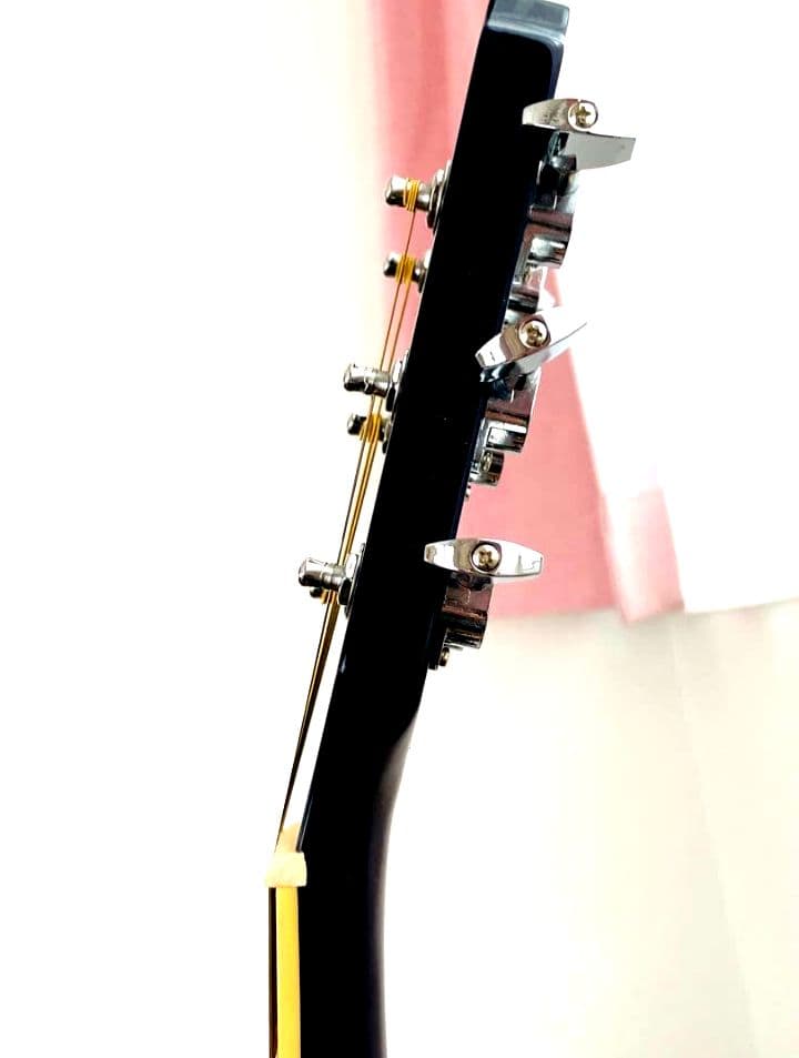 Aria Legend アコースティックギター サイドサウンドホール別注品♪♪