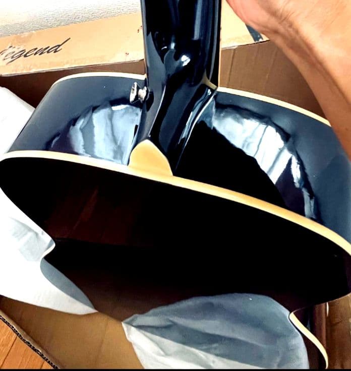 Aria Legend アコースティックギター サイドサウンドホール別注品♪♪