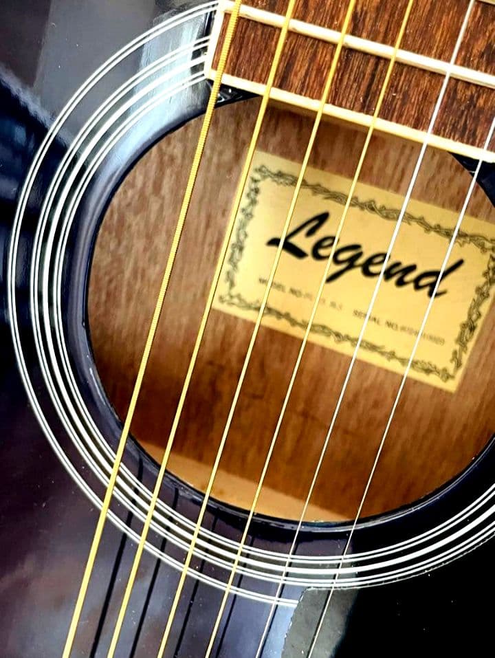 Aria Legend アコースティックギター サイドサウンドホール別注品♪♪