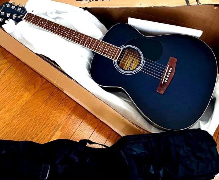 Aria Legend アコースティックギター サイドサウンドホール別注品♪♪